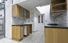 Repton kitchen extension leads